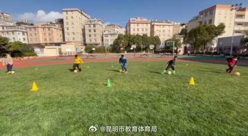 也为后辈树